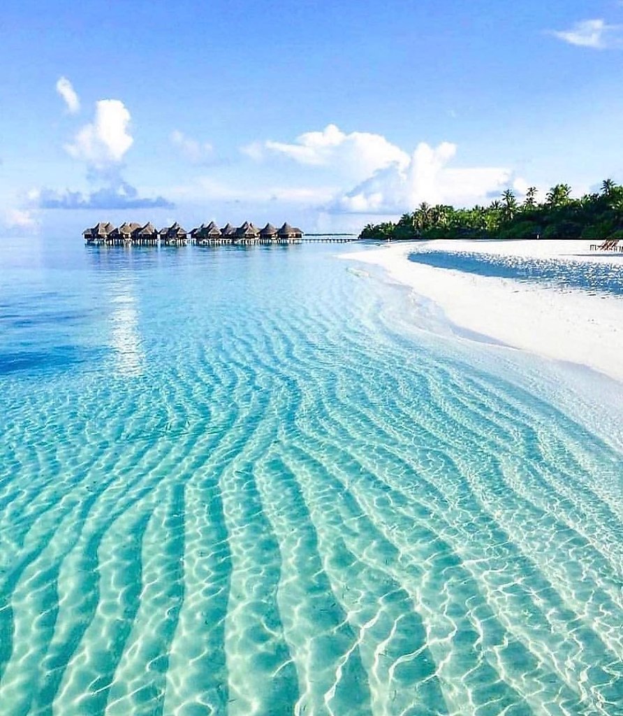 море Мальдивы нидмитур
